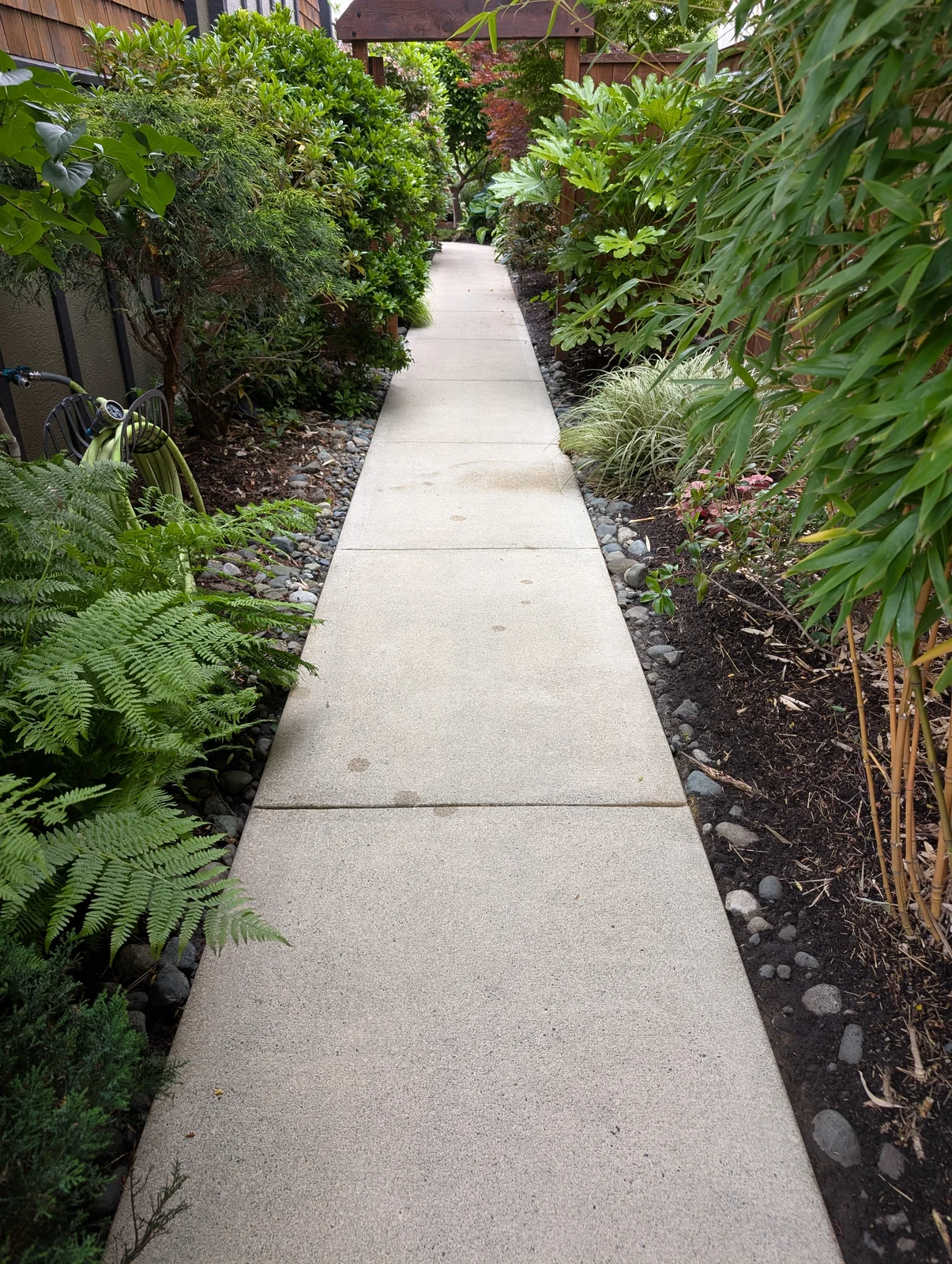 A brighter garden walkway — after cleaning