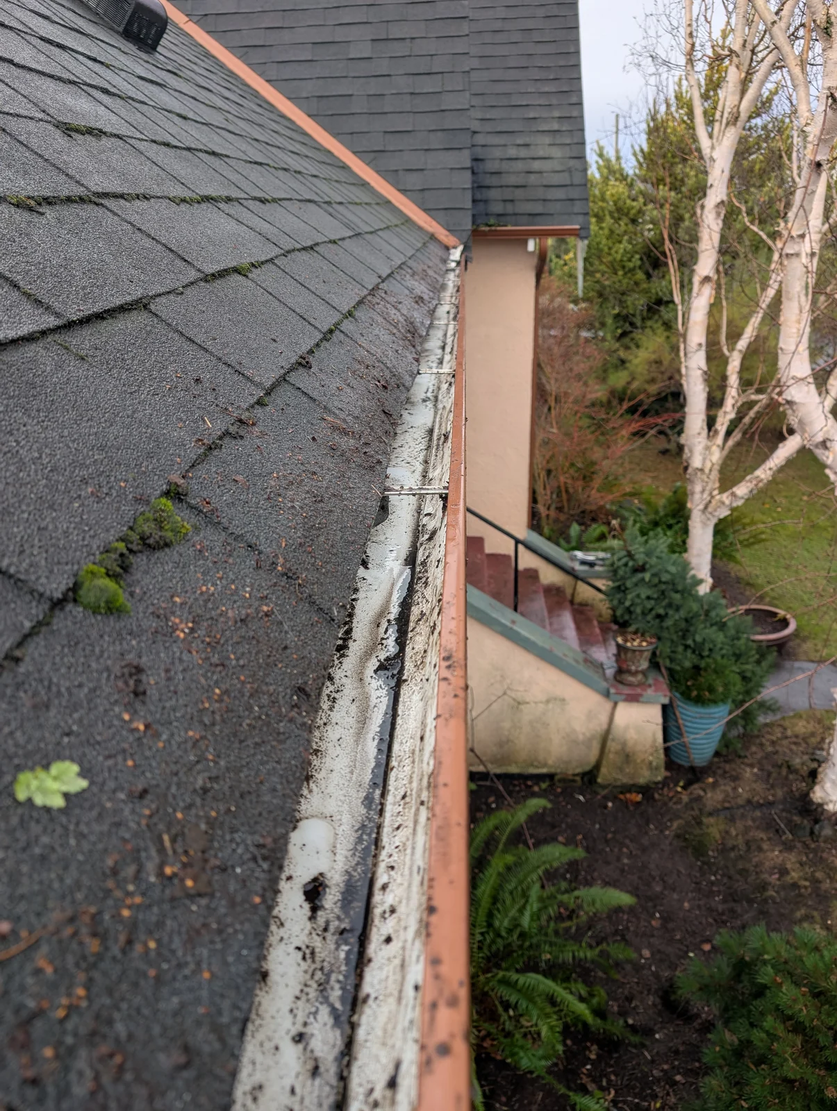 Room for the rain to flow — after cleaning