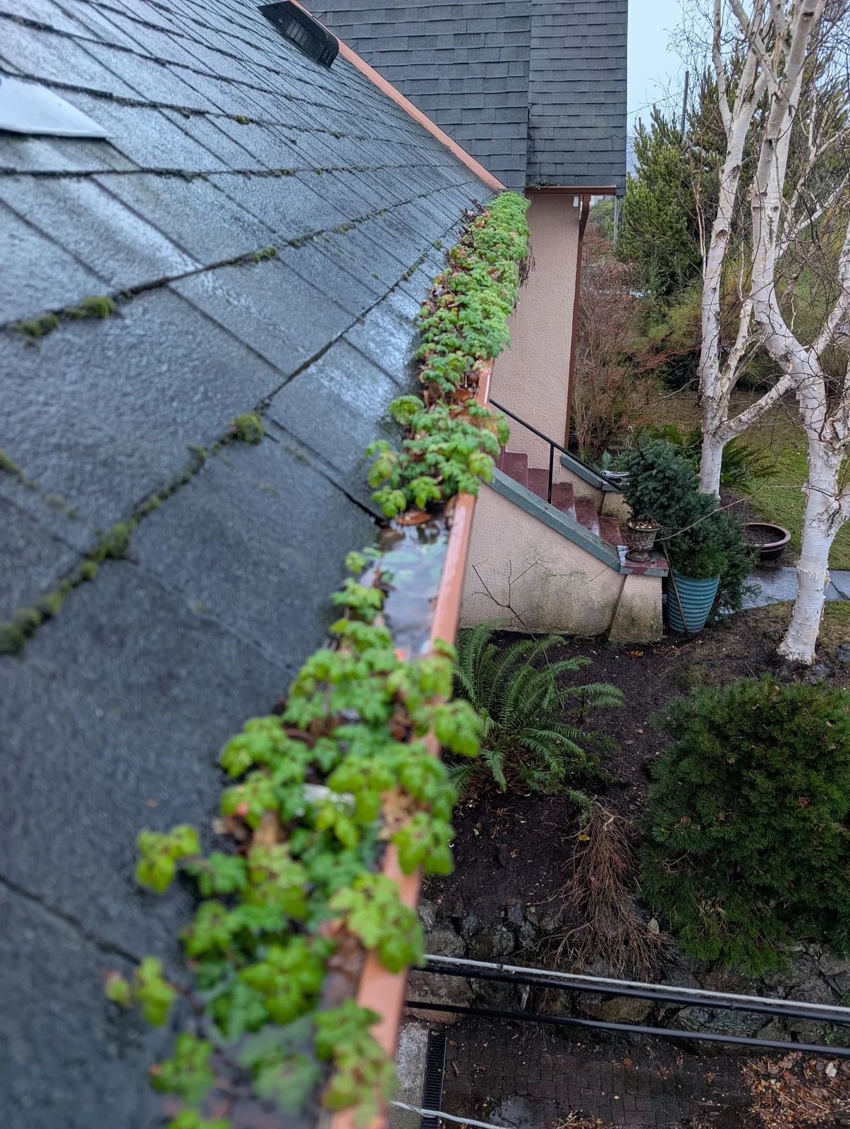 Room for the rain to flow — before cleaning