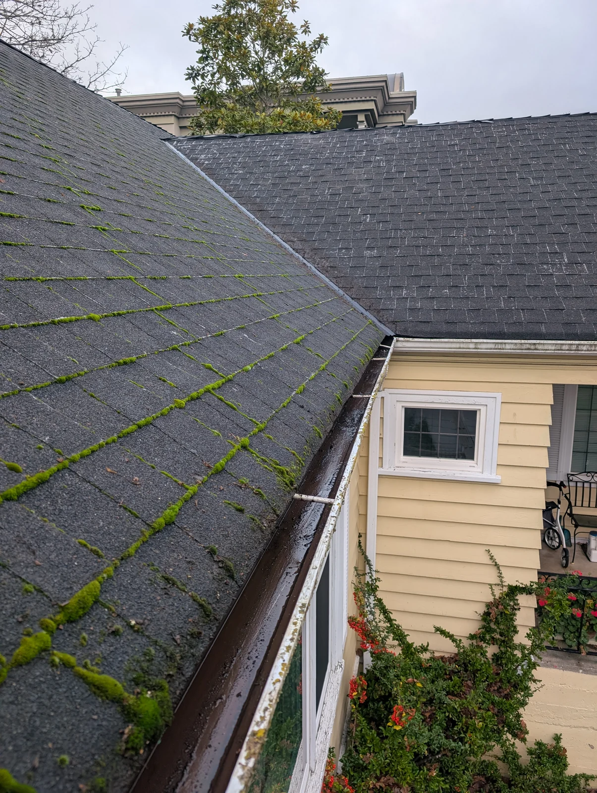 Leaves out. Gutters clear. — after cleaning
