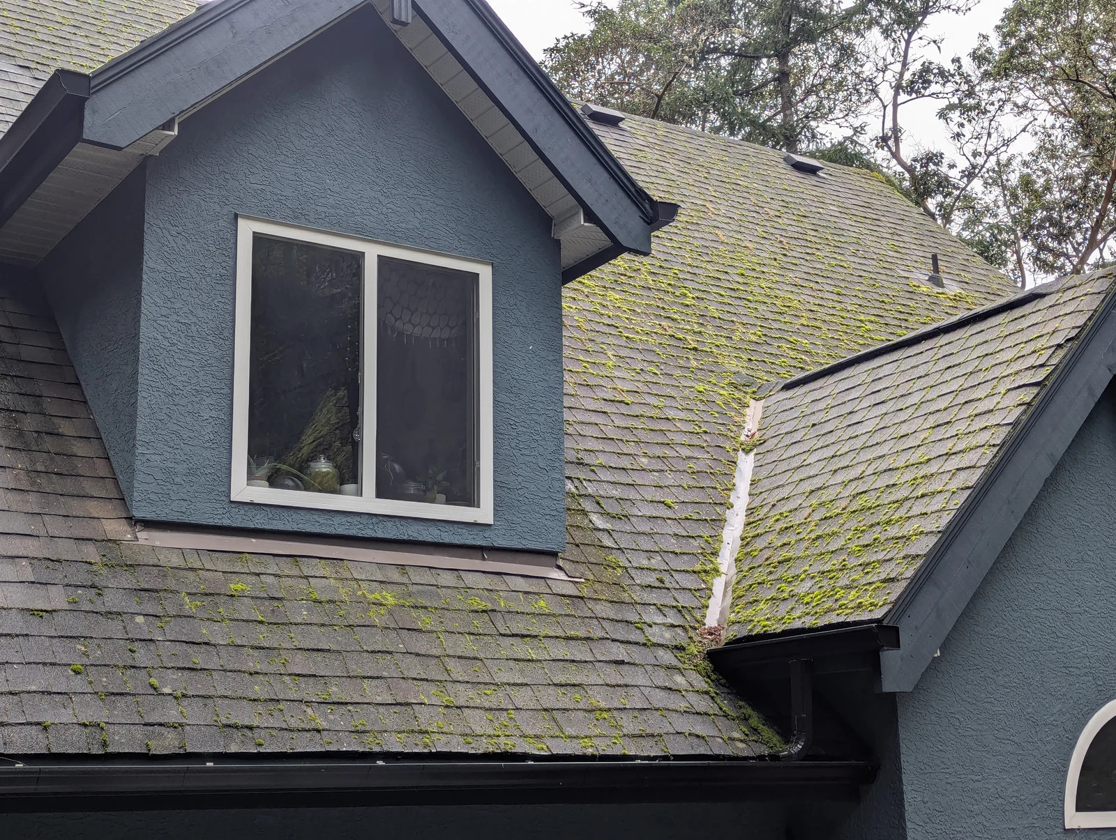 A cleaner roof around the dormer — before cleaning