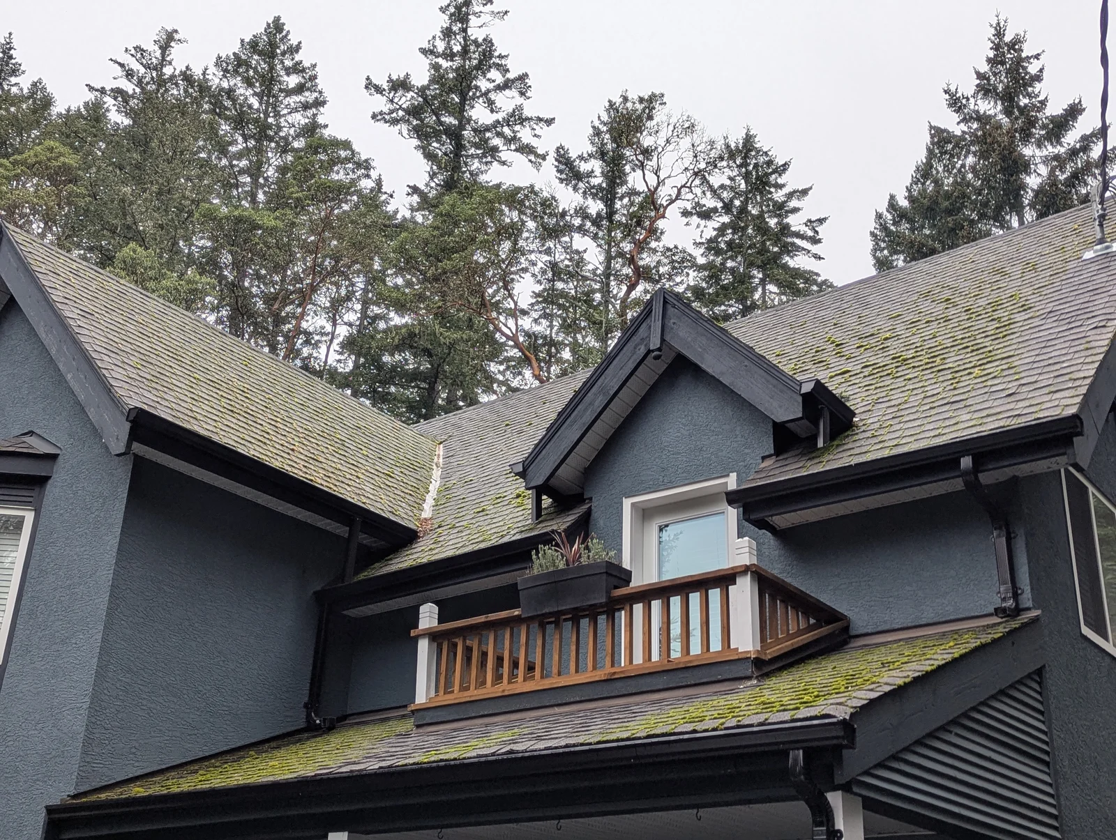 A fresh look for the whole roofline — before cleaning
