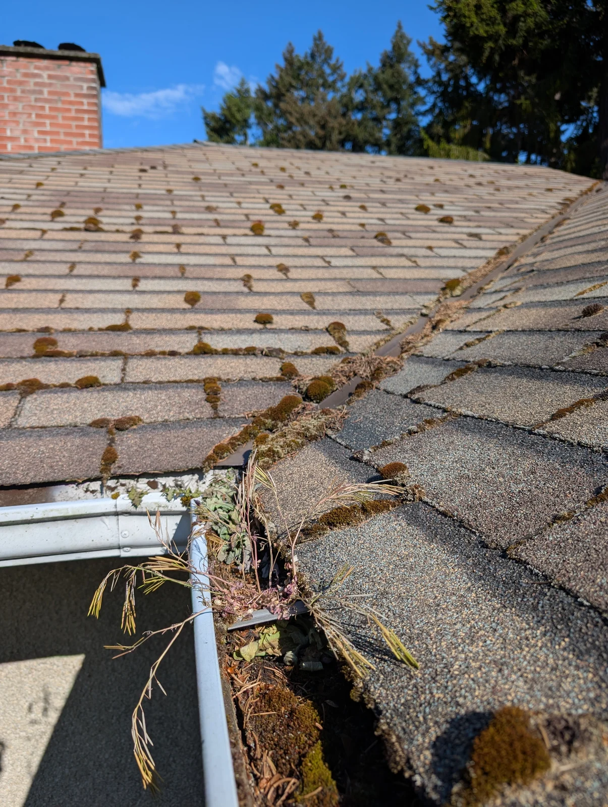 From mossy roof to a clearer valley — before cleaning